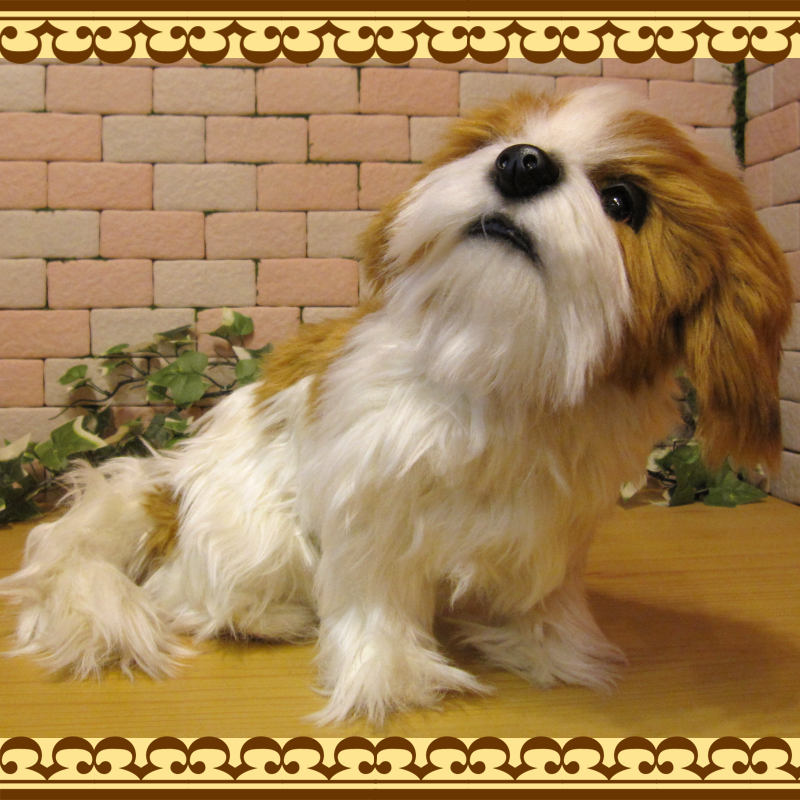 ���ꥢ��ʸ��Τ̤�����ߡ������������ɥå����֥��������̤���ʪ�����̤Υե����奢������ƥꥢ