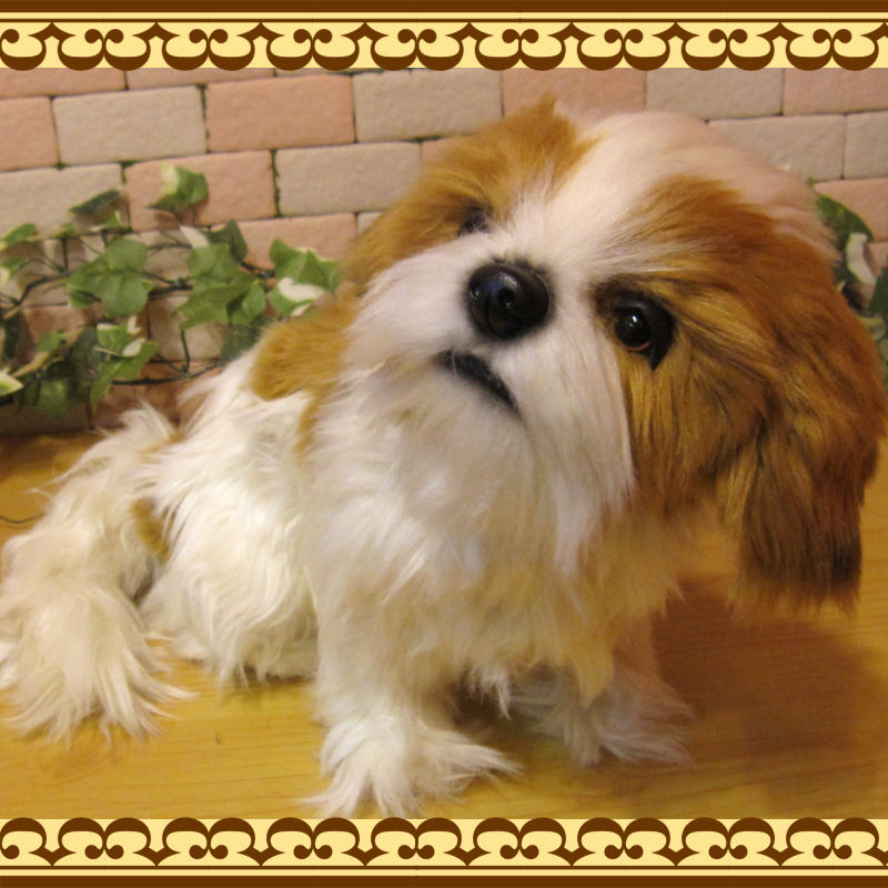 ���ꥢ��ʸ��Τ̤�����ߡ������������ɥå����֥��������̤���ʪ�����̤Υե����奢������ƥꥢ