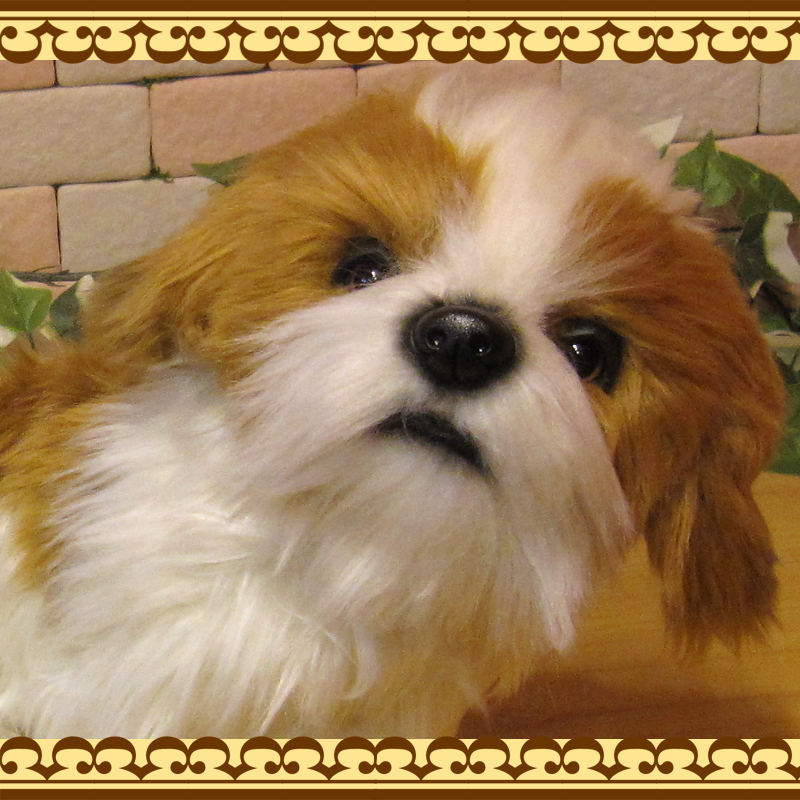 ���ꥢ��ʸ��Τ̤�����ߡ������������ɥå����֥��������̤���ʪ�����̤Υե����奢������ƥꥢ