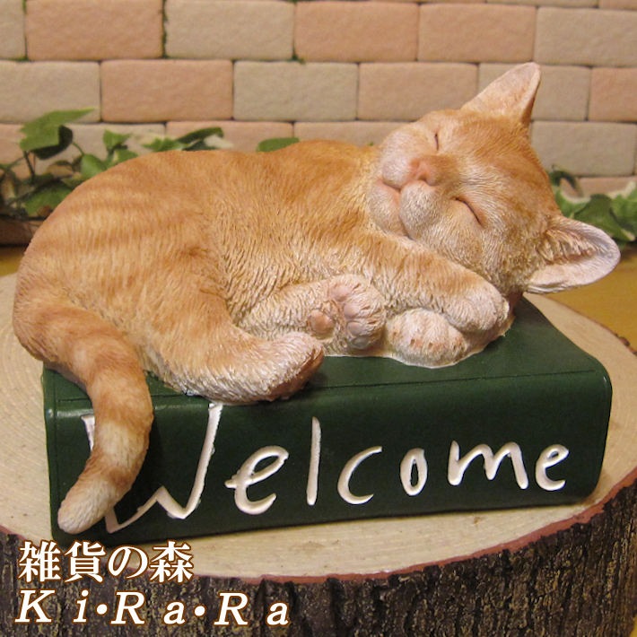 ǭʪȥ顡Ҥͤ륫֥åǭߡͥͤåȡ֥ե奢ǥ󡡥٥ȡǥ˥󥰡