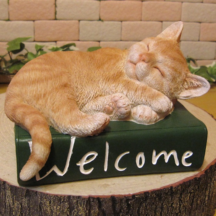 ǭʪȥ顡Ҥͤ륫֥åǭߡͥͤåȡ֥ե奢ǥ󡡥٥ȡǥ˥󥰡