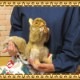 �����ꤹ���¥����ס��ꥢ��ʥꥹ�Τ̤�����ߡ����֥���������ƥꥢ����դ��