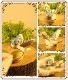 Ļ����ʪ��������Ļ����ʪ���졡�Ȥꡡ�С��ɡ��ﵯʪ�����奨�꡼������������Ȣ���ȥꥱ��ܥå���������ƥꥢ