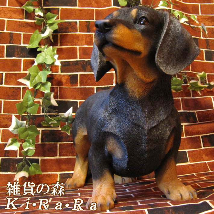 ���������Υ���ƥꥢ�ˤ����Υ����ʥ��ȤȤ��Ƥ�����礭���ƥꥢ��ʸ�����ʪ�����å����ե�ȡ��ӥå������������̤Υե�����