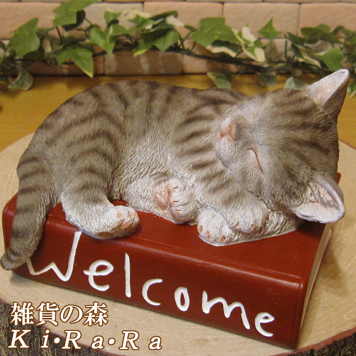 ǭ����ʪ���֥饦�󥰥졼���Ҥͤ��������륫��֥å���ǭ���ߡ��ͥ����ͤ�������åȡ����֥������ե����奢�������ǥ󡡥٥��������ȡ������ǥ˥󥰡�������