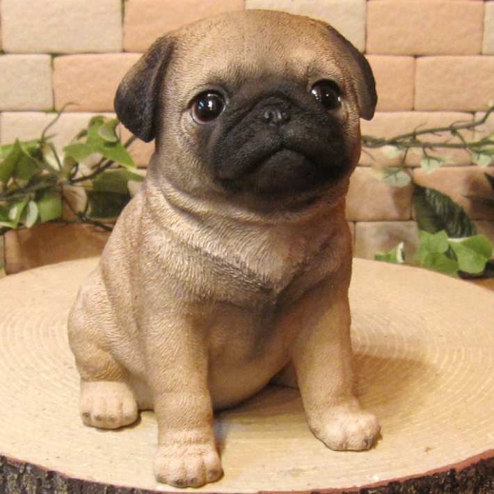 ���������Υ���ƥꥢ�ˤ����Υ����ʥ��ȤȤ��Ƥ�����ꥢ��ʸ�����ʪ���ѥ����Ҹ� ���¤�