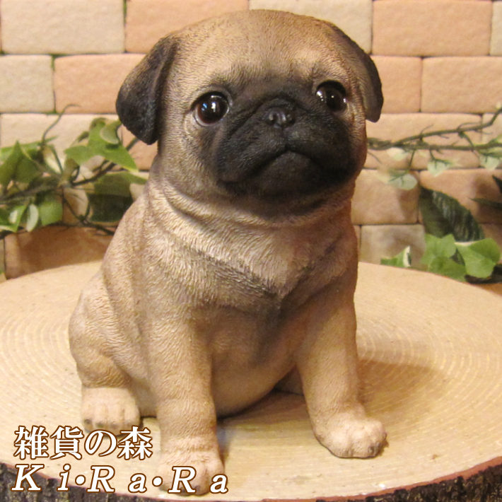 ���������Υ���ƥꥢ�ˤ����Υ����ʥ��ȤȤ��Ƥ�����ꥢ��ʸ�����ʪ���ѥ����Ҹ� ���¤�