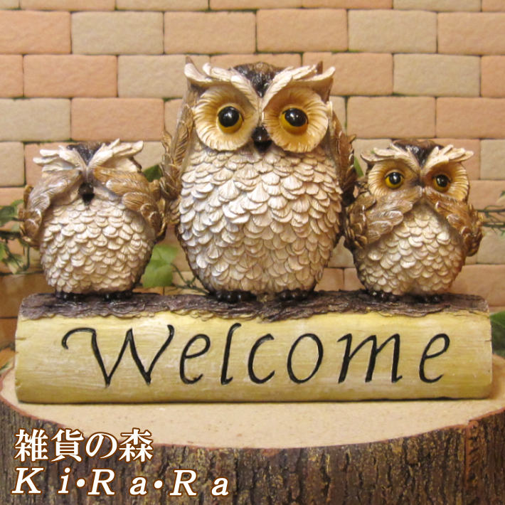 �դ���������ʪ���ۤä���ե������ƻҤΤ���ʪ���դ������ե��ߥ꡼���������ס��桡�ﵯʪ�����֥����������ǥ˥󥰡������ʥ��ȡ�����ƥꥢ