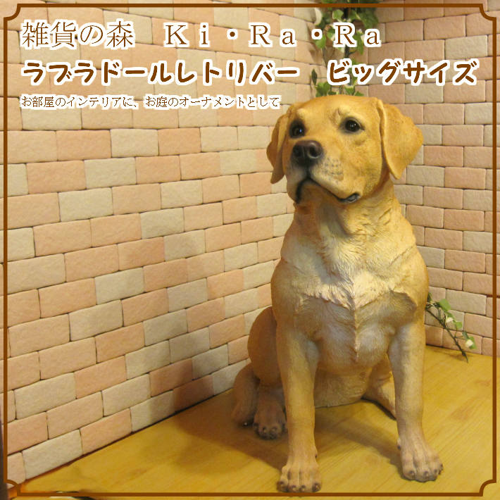 ��֥�ɡ����ȥ�С������������¤ꡡ�ӥå����������礭���ƥꥢ��ʥ��̤���ʪ���ɥå����֥��������������ǥ˥󥰡��������Υ���ƥꥢ�ˤ����Υ����ʥ��ȤȤ��Ƥ����