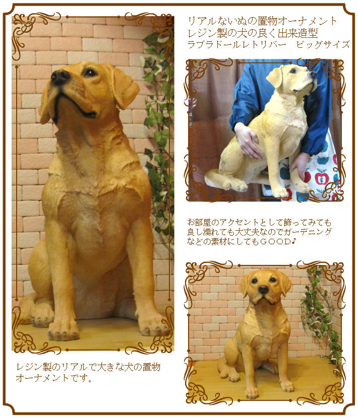 ��֥�ɡ����ȥ�С������������¤ꡡ�ӥå����������礭���ƥꥢ��ʥ��̤���ʪ���ɥå����֥��������������ǥ˥󥰡��������Υ���ƥꥢ�ˤ����Υ����ʥ��ȤȤ��Ƥ����