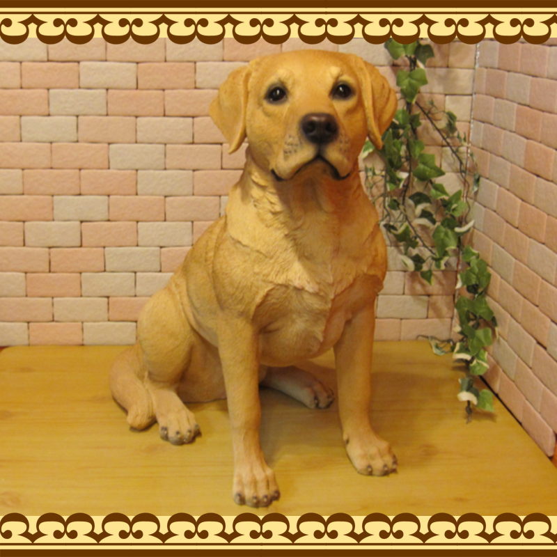 ��֥�ɡ����ȥ�С������������¤ꡡ�ӥå����������礭���ƥꥢ��ʥ��̤���ʪ���ɥå����֥��������������ǥ˥󥰡��������Υ���ƥꥢ�ˤ����Υ����ʥ��ȤȤ��Ƥ����