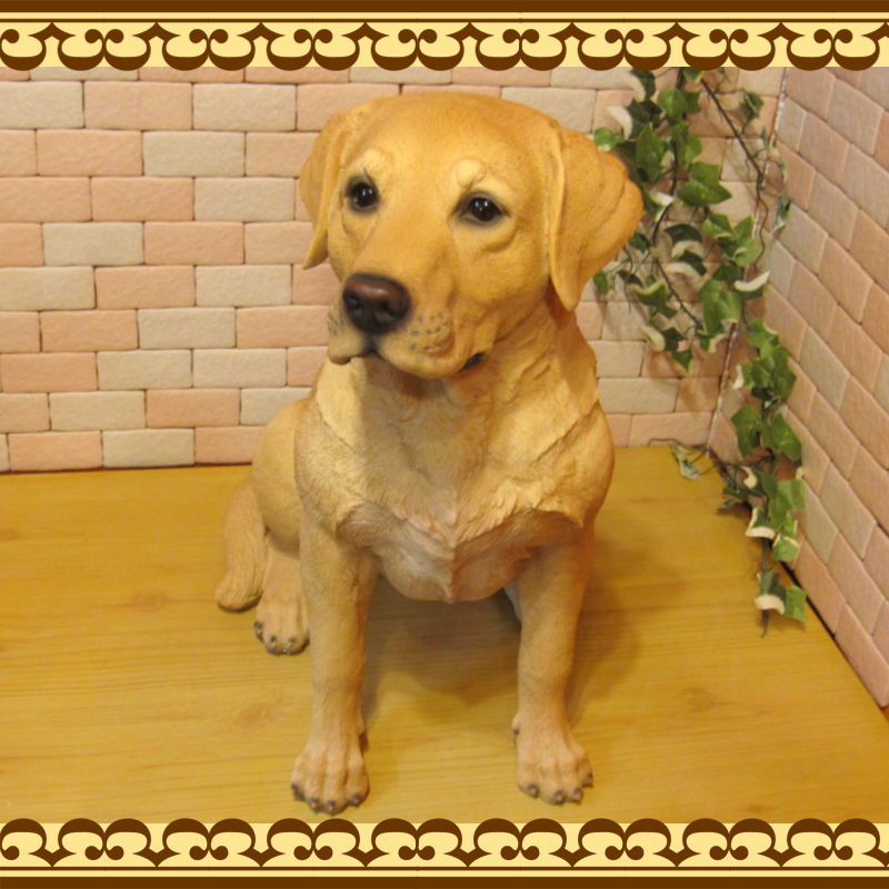 ��֥�ɡ����ȥ�С������������¤ꡡ�ӥå����������礭���ƥꥢ��ʥ��̤���ʪ���ɥå����֥��������������ǥ˥󥰡��������Υ���ƥꥢ�ˤ����Υ����ʥ��ȤȤ��Ƥ����