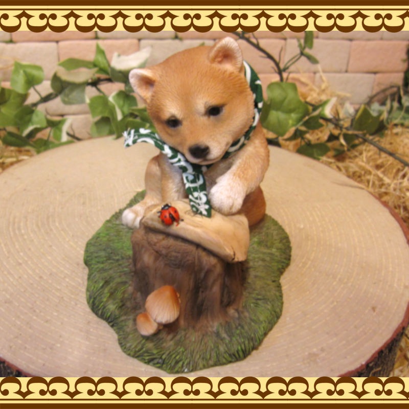 �Ƹ�����ʪ���Ҥ��̡��ƽ����ٶ��桪�����̥��֥������ե����奢�������ǥ˥󥰡���������������Υ���ƥꥢ�ˤ����Υ����ʥ��ȤȤ��Ƥ����