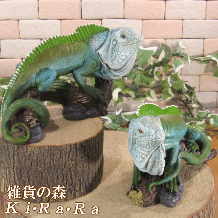 �ꥢ��ʥȥ�������ʪ���ĥ��󡡥������ʡ����꡼�󡡣��Υ��åȡ�����ࡡ�ե����奢�������ǥ˥󥰡��ɥ饴�󥪡��ʥ��ȡ�����ƥꥢ��������