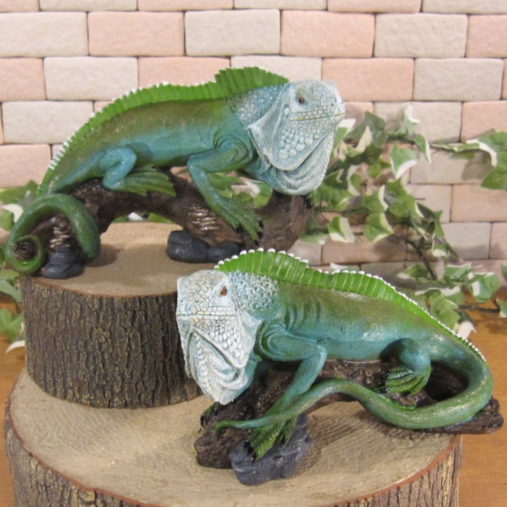 �ꥢ��ʥȥ�������ʪ���ĥ��󡡥������ʡ����꡼�󡡣��Υ��åȡ�����ࡡ�ե����奢�������ǥ˥󥰡��ɥ饴�󥪡��ʥ��ȡ�����ƥꥢ��������