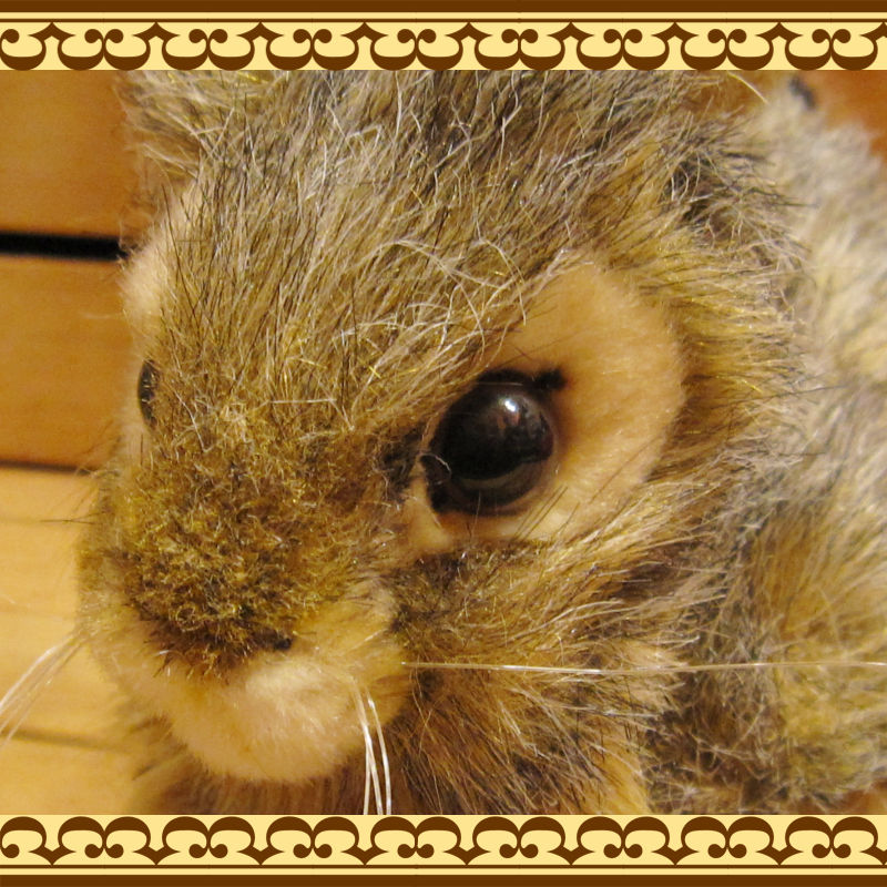 ��������������B�����ס��ꥢ��ʤ������Τ̤�����ߡ�