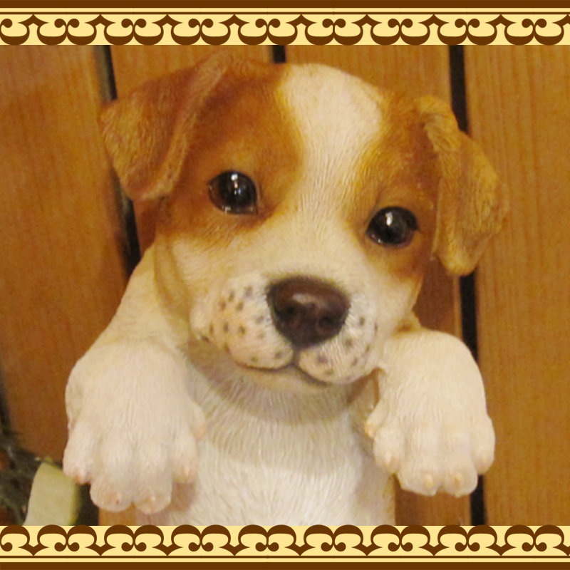 ���������Υ���ƥꥢ�ˤ����Υ����ʥ��ȤȤ��Ƥ�����ꥢ��ʸ�����ʪ���֤餵���ꥸ��å���å���ƥꥢ�����̤Υե�����