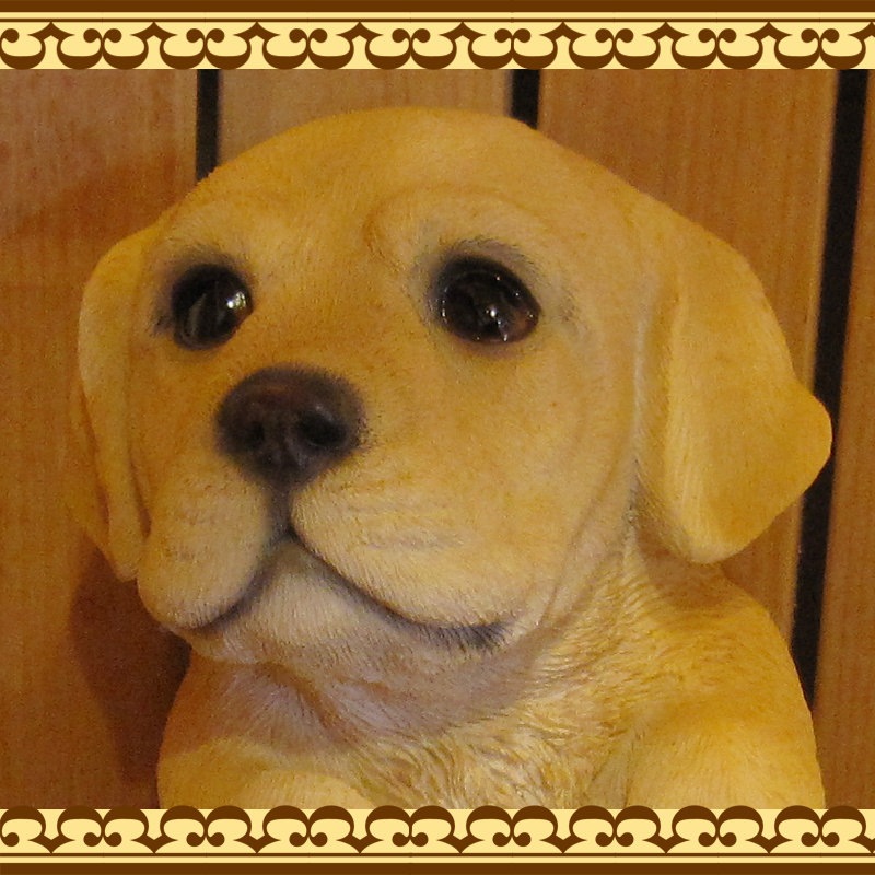 ��֥�ɡ����ȥ�С������ꥢ��ʸ�����ʪ���֤餵����ɥå������̤Υե��������������Υ���ƥꥢ�ˤ����Υ����ʥ��ȤȤ��Ƥ��