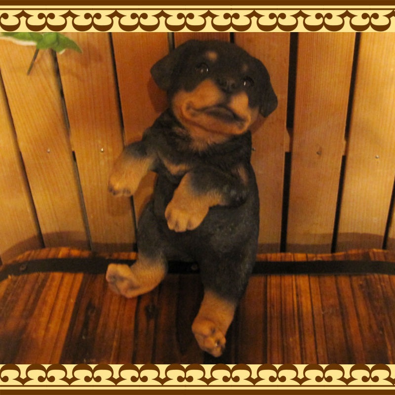 ���������Υ���ƥꥢ�ˤ����Υ����ʥ��ȤȤ��Ƥ�����ꥢ��ʸ�����ʪ���֤餵������åȥ磻�顼�����̤Υե�����