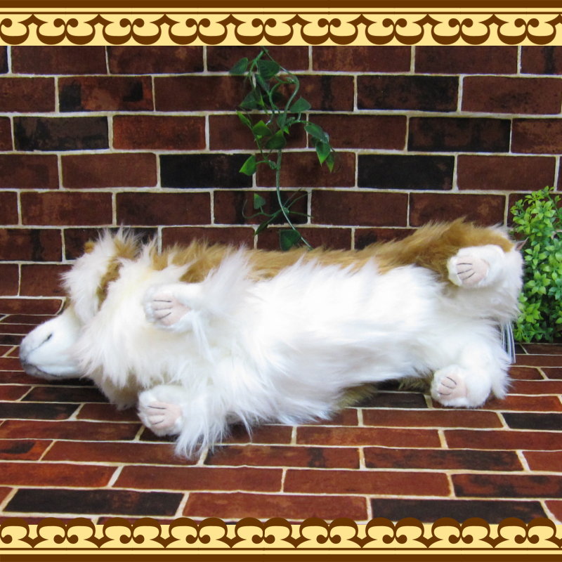 ���ꥢ��ʸ��Τ̤�����ߡ������������ɥå����֥��������̤���ʪ�����̤Υե����奢������ƥꥢ