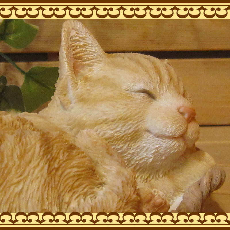 ���������Υ���ƥꥢ�˥����ǥ˥󥰤��Ǻ�ˤˡ��ꥢ��ʻ�ǭ����ʪ���쥸�������Х����åȥ���åȡ��Ȥ顡�ҥͥ��Υե�����