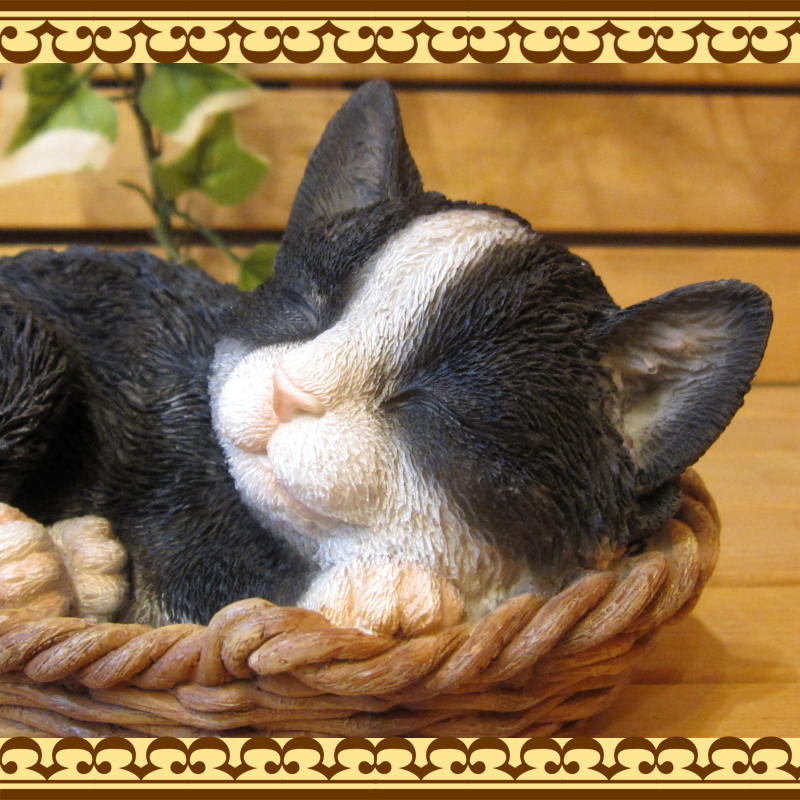 ���������Υ���ƥꥢ�˥����ǥ˥󥰤��Ǻ�ˤˡ��ꥢ��ʻ�ǭ����ʪ���쥸�������Х����åȥ���åȡ�Ȭ��졡�ҥͥ��Υե�����