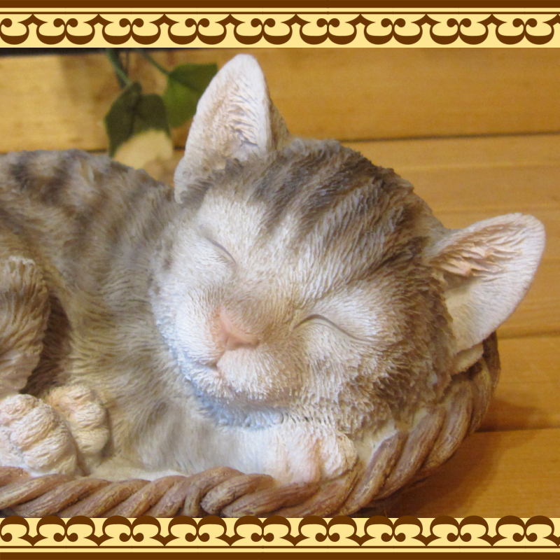 ���������Υ���ƥꥢ�˥����ǥ˥󥰤��Ǻ�ˤˡ��ꥢ��ʻ�ǭ����ʪ���쥸�������Х����åȥ���åȡ����᥷�硼���ҥͥ��Υե�����