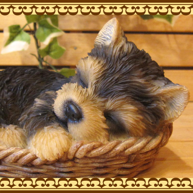 ���������Υ���ƥꥢ�ˤ����Υ����ʥ��ȤȤ��Ƥ�����ꥢ��ʸ�����ʪ���Х����åȥɥå����衼�����㡼�ƥꥢ�����Ҹ��Υե�����