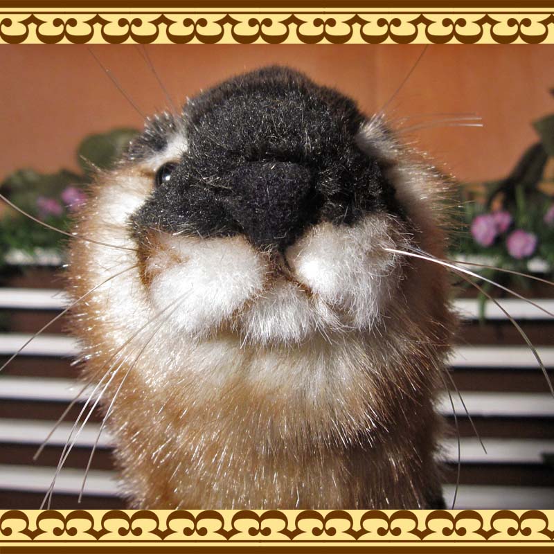 ���臘���������ף¡��ꥢ��ʥ��復���Τ̤������