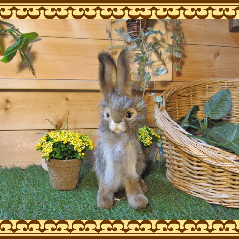 ���������������������ס��ꥢ��ʤ������Τ̤�����ߡ�