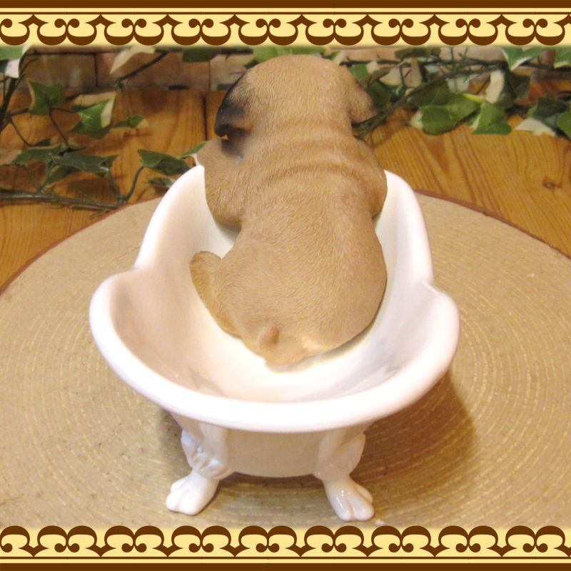 �ꥢ��ʸ�����ʪ���Х����֡��ɥå����ѥ������̤Υե����奢�����̤Υ��֥��������������Υ���ƥꥢ�ˤ����Υ����ʥ��ȤȤ��Ƥ��
