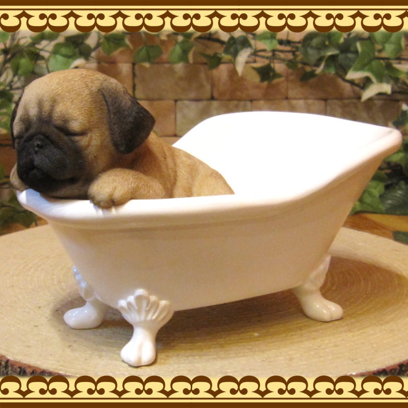 �ꥢ��ʸ�����ʪ���Х����֡��ɥå����ѥ������̤Υե����奢�����̤Υ��֥��������������Υ���ƥꥢ�ˤ����Υ����ʥ��ȤȤ��Ƥ��