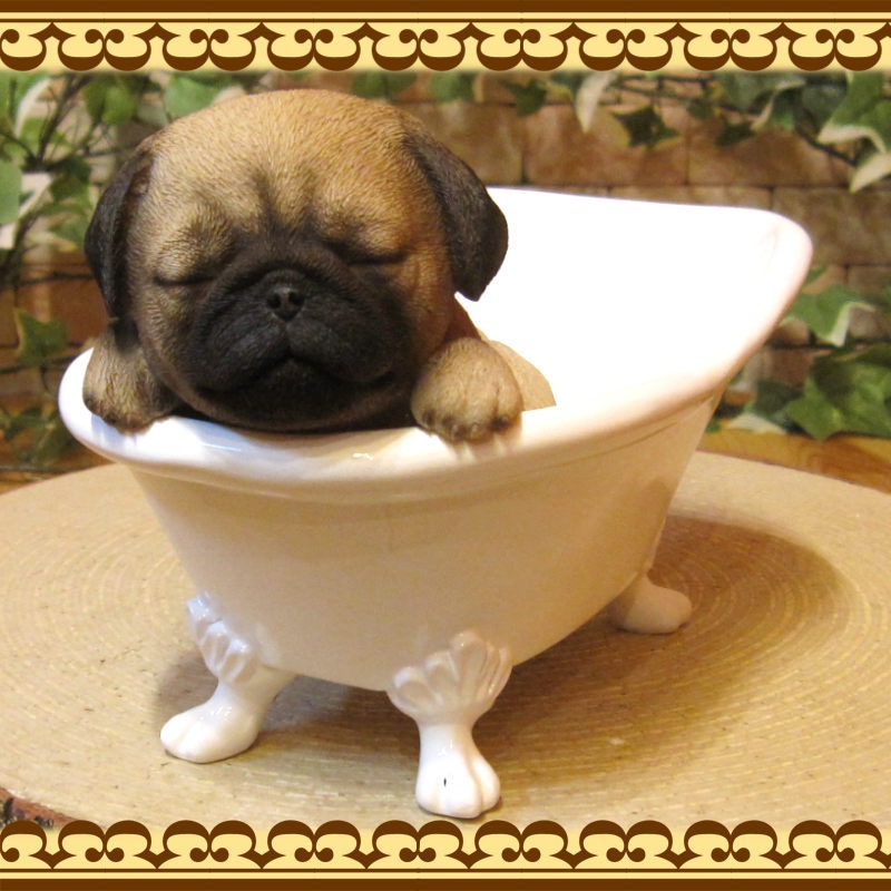 �ꥢ��ʸ�����ʪ���Х����֡��ɥå����ѥ������̤Υե����奢�����̤Υ��֥��������������Υ���ƥꥢ�ˤ����Υ����ʥ��ȤȤ��Ƥ��