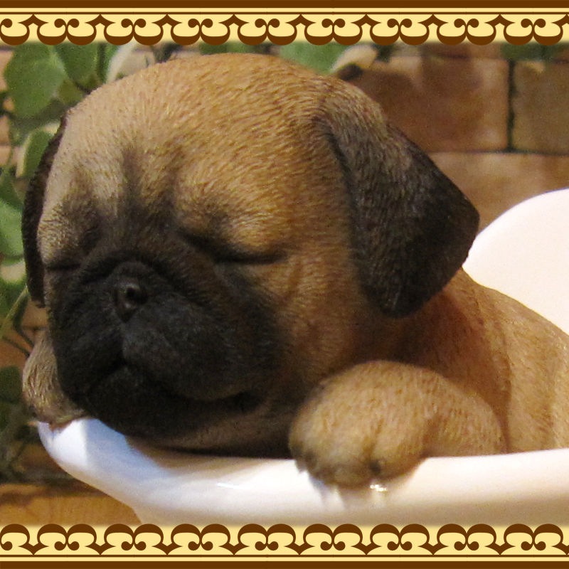 �ꥢ��ʸ�����ʪ���Х����֡��ɥå����ѥ������̤Υե����奢�����̤Υ��֥��������������Υ���ƥꥢ�ˤ����Υ����ʥ��ȤȤ��Ƥ��