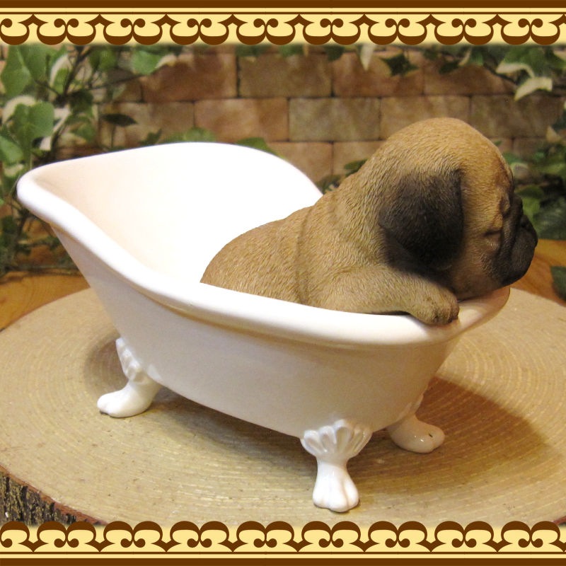 �ꥢ��ʸ�����ʪ���Х����֡��ɥå����ѥ������̤Υե����奢�����̤Υ��֥��������������Υ���ƥꥢ�ˤ����Υ����ʥ��ȤȤ��Ƥ��