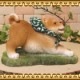 �Ƹ�����ʪ���Ҥ��̡��ƽ������ԡ����桪�����̥��֥������ե����奢�������ǥ˥󥰡���������������Υ���ƥꥢ�ˤ����Υ����ʥ��ȤȤ��Ƥ����