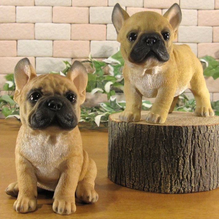 ������ʪ���ĥ��󡡥ե�֥롡�ե����֥�ɥå������糧�åȡ��Ҥ��̡��ꥢ�롡�����ǥ󡡥��֥�����Ź�ޡ������������󥿡��������ǥ˥󥰡��٥���������