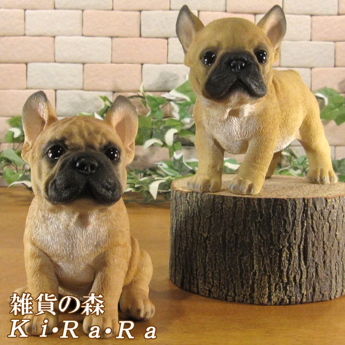 ������ʪ���ĥ��󡡥ե�֥롡�ե����֥�ɥå������糧�åȡ��Ҥ��̡��ꥢ�롡�����ǥ󡡥��֥�����Ź�ޡ������������󥿡��������ǥ˥󥰡��٥���������