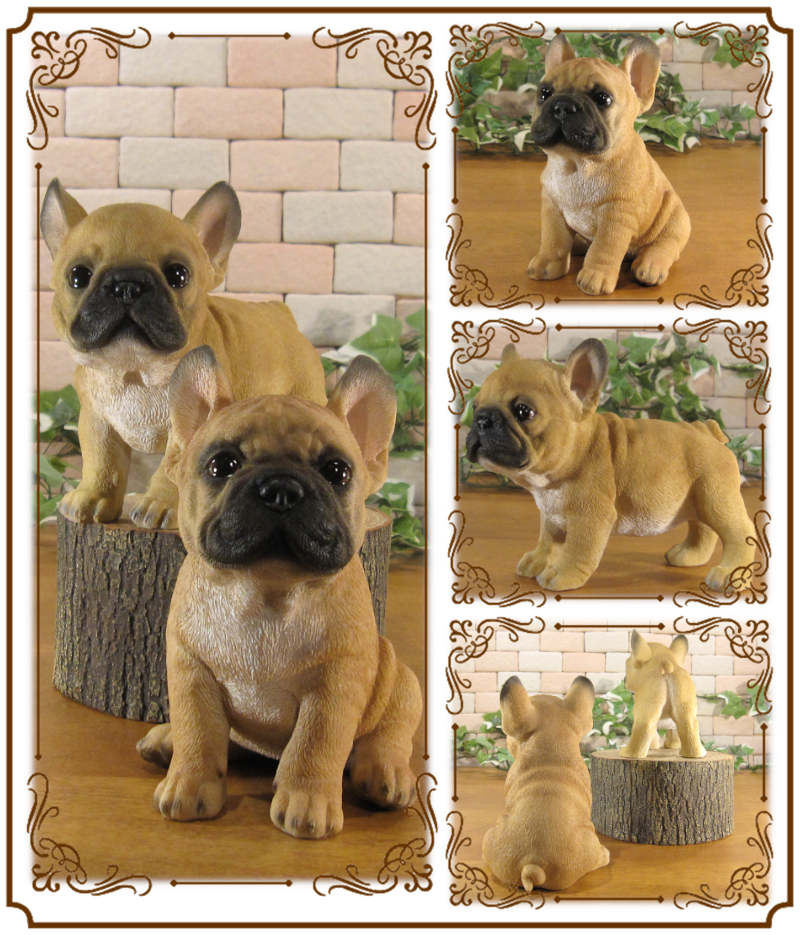 ������ʪ���ĥ��󡡥ե�֥롡�ե����֥�ɥå������糧�åȡ��Ҥ��̡��ꥢ�롡�����ǥ󡡥��֥�����Ź�ޡ������������󥿡��������ǥ˥󥰡��٥���������