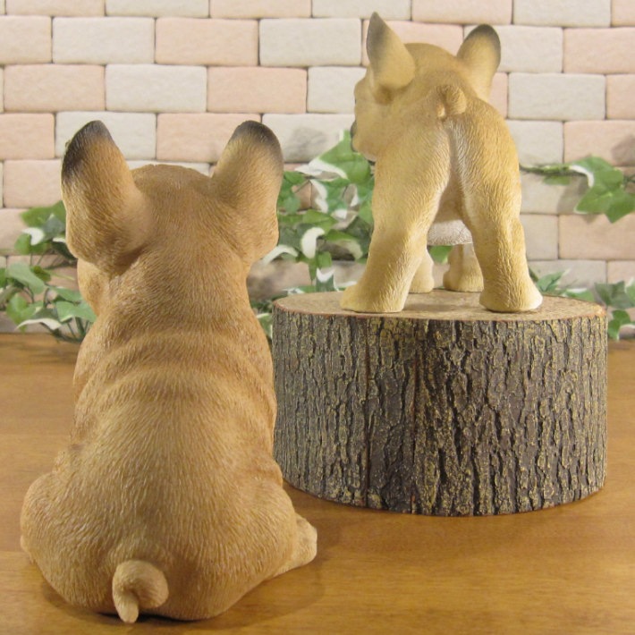 ������ʪ���ĥ��󡡥ե�֥롡�ե����֥�ɥå������糧�åȡ��Ҥ��̡��ꥢ�롡�����ǥ󡡥��֥�����Ź�ޡ������������󥿡��������ǥ˥󥰡��٥���������