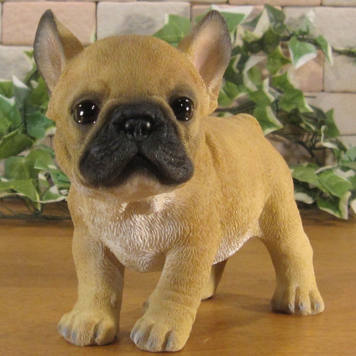 ������ʪ���ĥ��󡡥ե�֥롡�ե����֥�ɥå������糧�åȡ��Ҥ��̡��ꥢ�롡�����ǥ󡡥��֥�����Ź�ޡ������������󥿡��������ǥ˥󥰡��٥���������