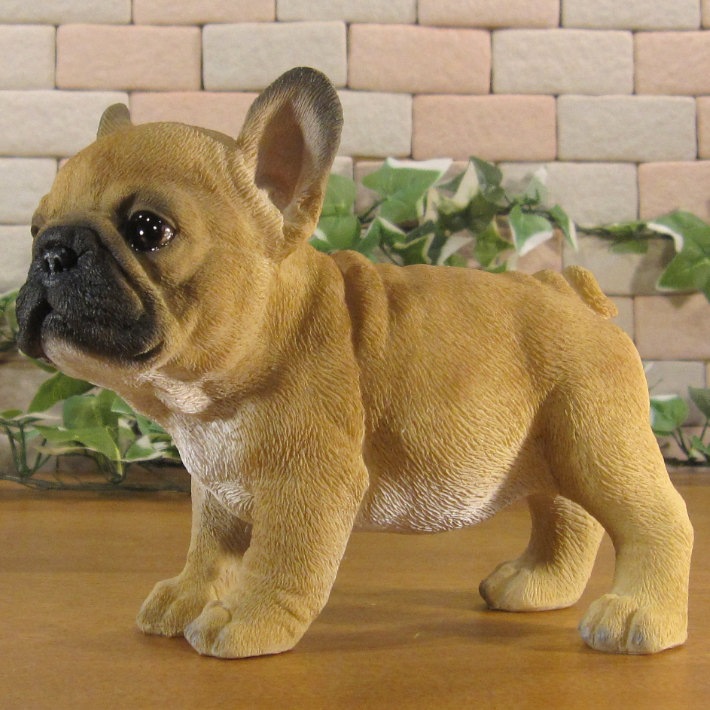 ������ʪ���ĥ��󡡥ե�֥롡�ե����֥�ɥå������糧�åȡ��Ҥ��̡��ꥢ�롡�����ǥ󡡥��֥�����Ź�ޡ������������󥿡��������ǥ˥󥰡��٥���������