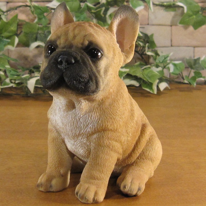 ������ʪ���ĥ��󡡥ե�֥롡�ե����֥�ɥå������糧�åȡ��Ҥ��̡��ꥢ�롡�����ǥ󡡥��֥�����Ź�ޡ������������󥿡��������ǥ˥󥰡��٥���������