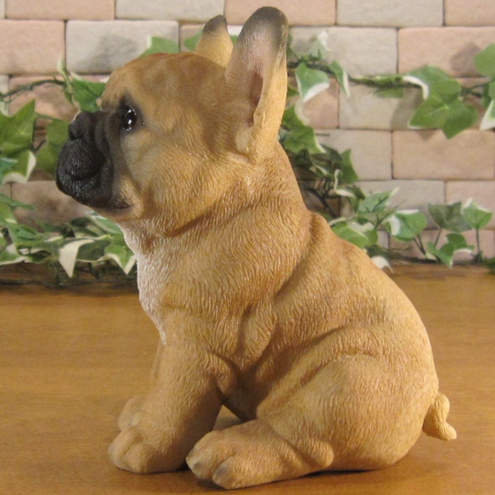 ������ʪ���ĥ��󡡥ե�֥롡�ե����֥�ɥå������糧�åȡ��Ҥ��̡��ꥢ�롡�����ǥ󡡥��֥�����Ź�ޡ������������󥿡��������ǥ˥󥰡��٥���������