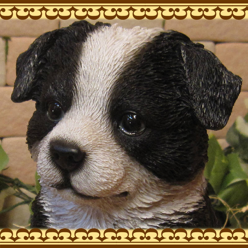 �ꥢ��ʸ�����ʪ���ܡ��������꡼���Ҹ������¤���������Υ���ƥꥢ�ˤ����Υ����ʥ��ȤȤ��Ƥ����