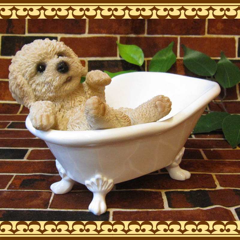 ���������Υ���ƥꥢ�ˤ����Υ����ʥ��ȤȤ��Ƥ�����ꥢ��ʸ�����ʪ���Х����֡��ɥå����ס��ɥ롡���̤Υե����奢�����̤Υ��֥���