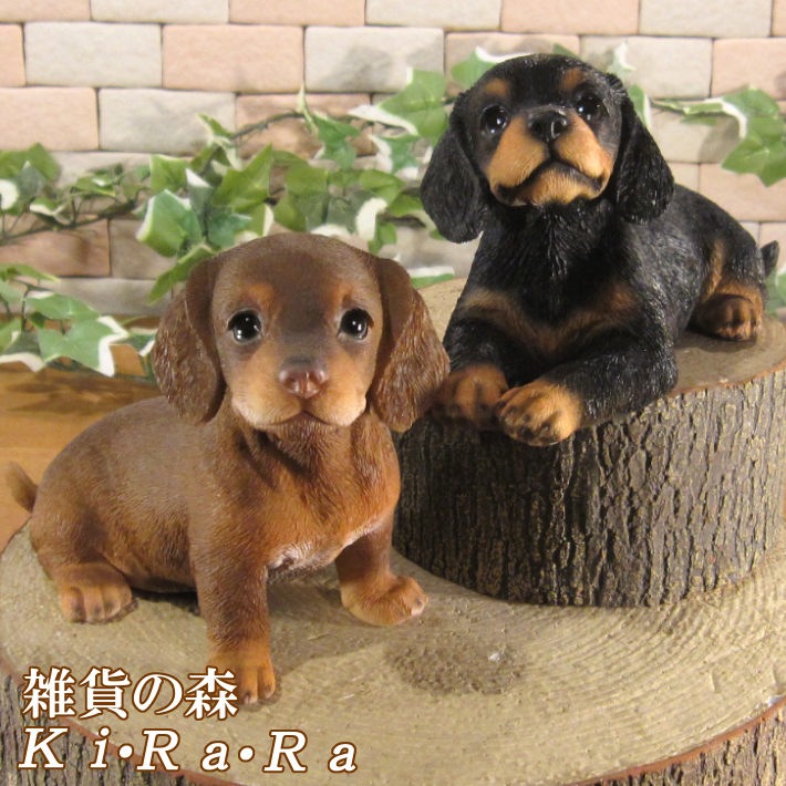 ������ʪ�����å������ե�󥺡����å����ե�ȡ����糧�åȡ��Ҥ��̡��ꥢ�롡�����ǥ󡡥��֥�����Ź�ޡ������������󥿡��������ǥ˥󥰡��٥���������