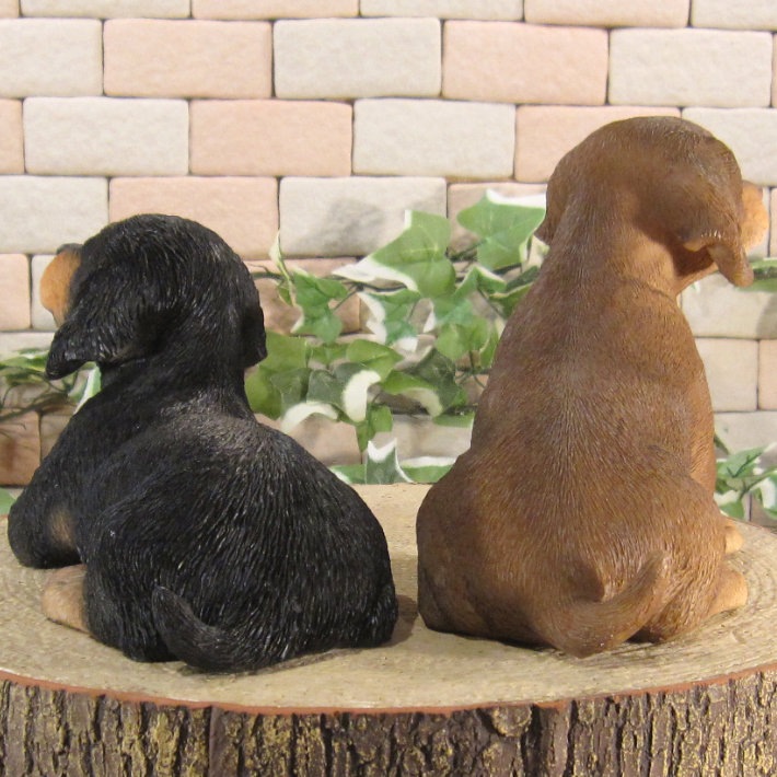 ������ʪ�����å������ե�󥺡����å����ե�ȡ����糧�åȡ��Ҥ��̡��ꥢ�롡�����ǥ󡡥��֥�����Ź�ޡ������������󥿡��������ǥ˥󥰡��٥���������