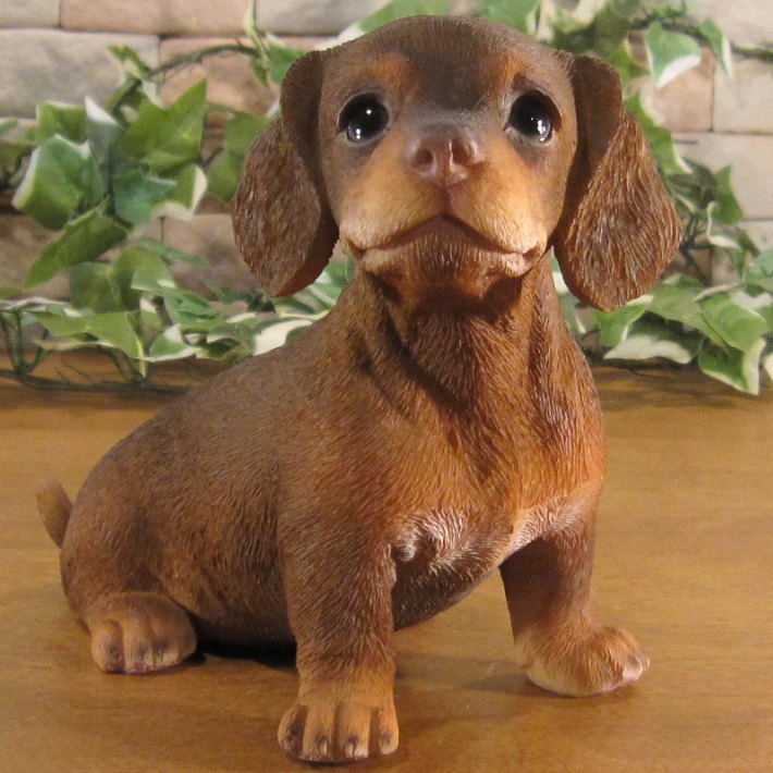 ������ʪ�����å������ե�󥺡����å����ե�ȡ����糧�åȡ��Ҥ��̡��ꥢ�롡�����ǥ󡡥��֥�����Ź�ޡ������������󥿡��������ǥ˥󥰡��٥���������