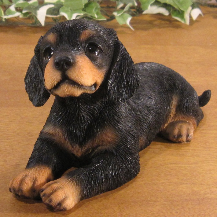 ������ʪ�����å������ե�󥺡����å����ե�ȡ����糧�åȡ��Ҥ��̡��ꥢ�롡�����ǥ󡡥��֥�����Ź�ޡ������������󥿡��������ǥ˥󥰡��٥���������